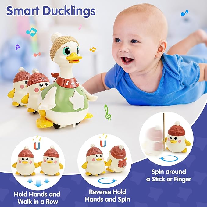 Smart ducklings follow mama